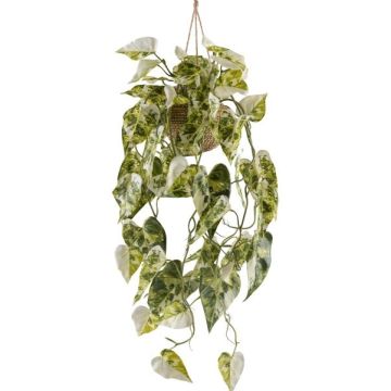 Decorazione pensile Syngonium in vaso sospeso ZULHER in cesto, verde-bianco, 80 cm