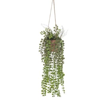 Fioriera artificiale Fico rampicante GREGORIOS in vaso decorativo, radici, verde, 90 cm