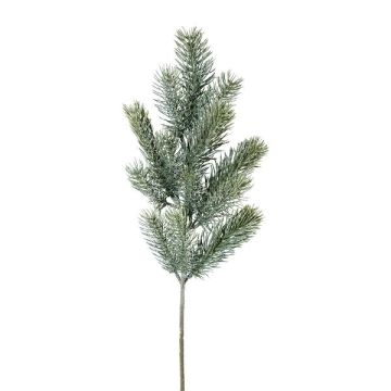 Ramo decorativo abete blu SLOVAN, ghiacciato, bianco-verde, 50 cm