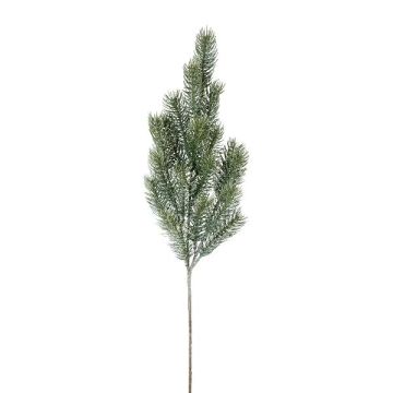 Ramo decorativo abete blu SLOVAN, ghiacciato, bianco-verde, 60 cm