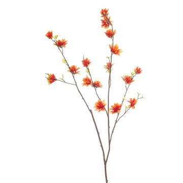 Ramo decorativo di hamamelis ZAVNER con fiori, arancione, 110 cm