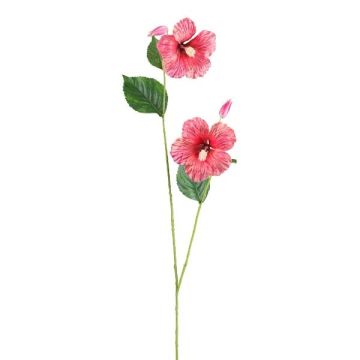Ramo decorativo ibisco SMOHLE, corallo, 110 cm
