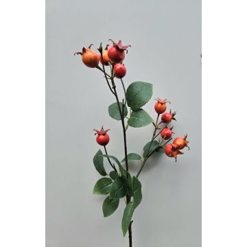 Ramo decorativo Rosa di patata LOPUNY con bacche di rosa canina, arancione, 70 cm