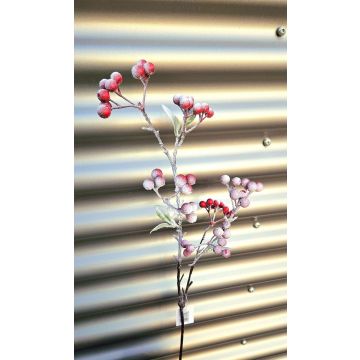 Ramo decorativo di sorbo SOPUNY, bacche, innevato, rosso-bianco, 70 cm