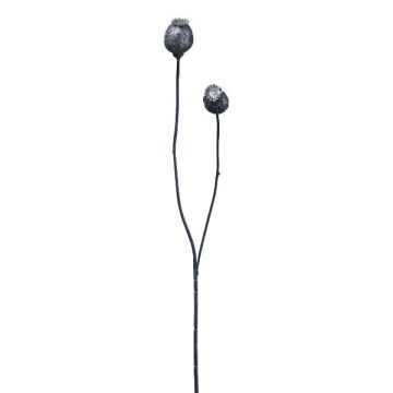 Ramo decorativo capsule di papavero ORIONLA, blu scuro, 65 cm