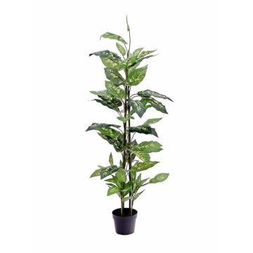 Dieffenbachia di plastica DANY su stelo, verde-bianco, 120cm