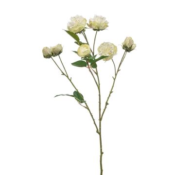 Ramo artificiale di cavolo rosa TRUVOL, bianco-verde, 65 cm