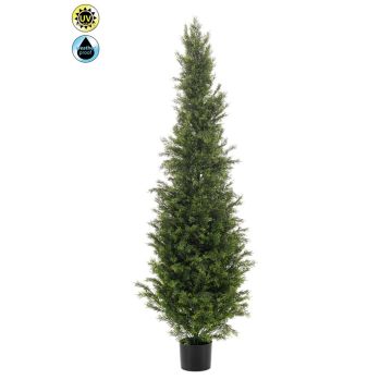 Cedro artificiale ZARGEN, crossdoor, verde, 150 cm