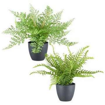 Mix di felci artificiali REFIL, felce spada, felce capelvenere, 2 pezzi, vaso decorativo, verde, 25 cm Mix di felci artificiali REFIL, felce spada, felce capelvenere, 2 pezzi, vaso decorativo, verde, 25 cm