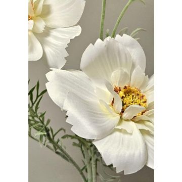 Ramo decorativo con corioli HIKJAN, crema-bianco, 80 cm