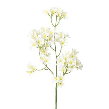 Ramo decorativo di fiori di melo YORBEN con fiori, bianco, 60 cm