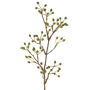 Ramo decorativo di rosa selvatica HIKERNO con bacche di rosa canina, verde, 60 cm