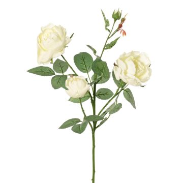 Ramo di rosa artificiale DIAMANTIS, crema, 70 cm, Ø 5-8 cm