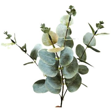Ramo artificiale eucalipto ERINDALS, verde-blu, 60 cm