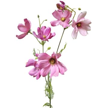 Ramo decorativo con corioli HISSAN, rosa, 75 cm