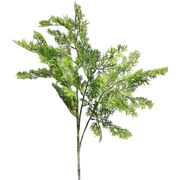 Ramo decorativo di tuia BIRLAF, verde-giallo, 85 cm
