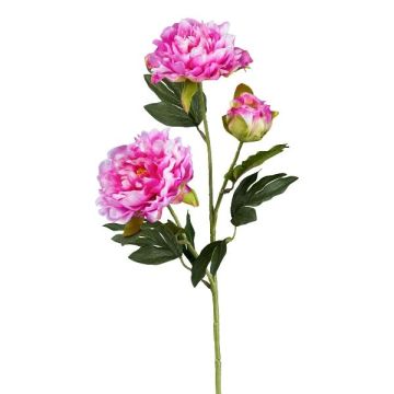 Ramo di fiori artificiali peonia SLORMEK, cerise, 65 cm