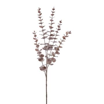 Ramo decorativo eucalipto TRELVO, rosso bordeaux, 75 cm