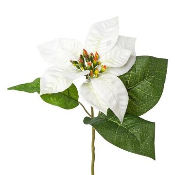 Fiore di plastica stella di Natale HIKOL, bianco, 35 cm