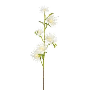 Ramo artificiale di cardo ZORLIM, bianco, 55 cm