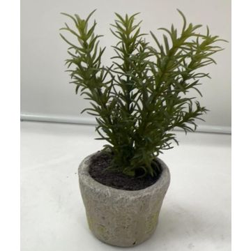 Pianta artificiale rosmarino POLINDA in vaso decorativo, verde, 26 cm