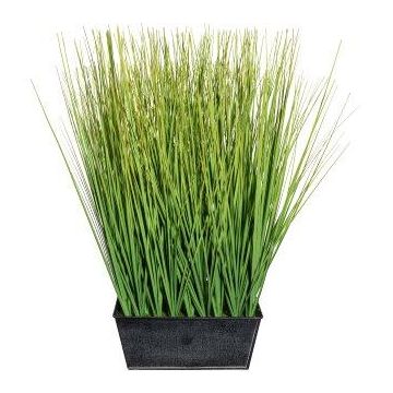 Erba decorativa Lampioncino LOPIMA in scatola di zinco, verde, 45 cm