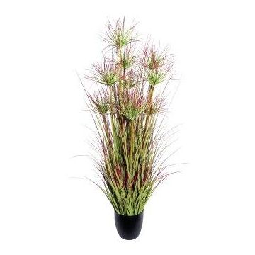 Erba decorativa Pianta di papiro DARSA in vaso decorativo, verde-rosso, 125 cm