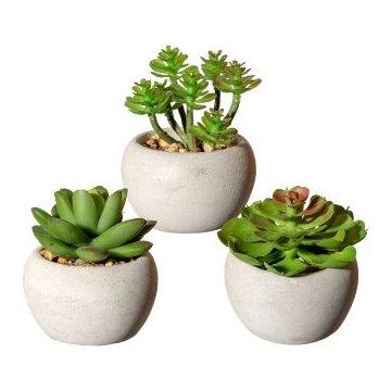Composizione artificiale di piante grasse PLOKSA in vaso di cemento, 3 pezzi, verde, 6,5-8 cm Composizione artificiale di piante grasse PLOKSA in vaso di cemento, 3 pezzi, verde, 6,5-8 cm