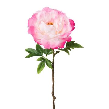 Fiore artificiale peonia GLOUT, rosa, 65 cm