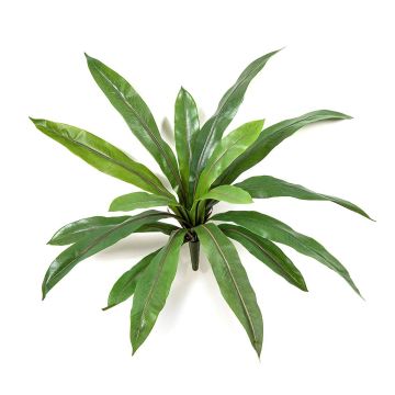 Pianta artificiale Felce nido JANE, bastoncino, verde, 40 cm