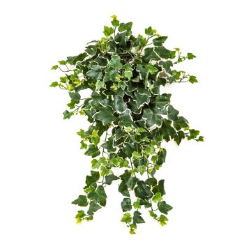 Edera artificiale pendente ELANE, bastoncino, verde-bianco, 65 cm