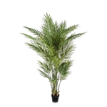 Palma Areca artificiale LUVA, 205 cm