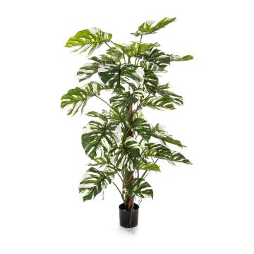 Pianta artificiale Philodendron Monstera Deliciosa Variegata MEBSUTA, verde-bianco, 160 cm