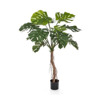 Pianta artificiale Philodendron Monstera Deliciosa IDALINA, radici, 130 cm