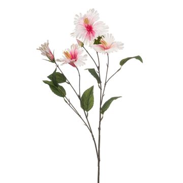 Ramo decorativo Ibisco TRUGEN con fiori, bianco-rosa, 85 cm