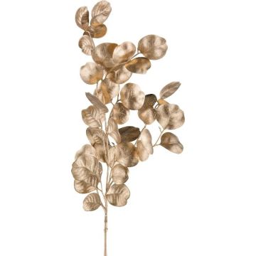 Ramo artificiale eucalipto DRAVEL, dorato, 75 cm
