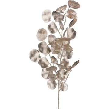 Ramo artificiale eucalipto DRAVEL, champagne, 75 cm