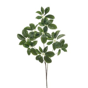 Ramo decorativo Schefflera PARVANEH, verde, 110 cm