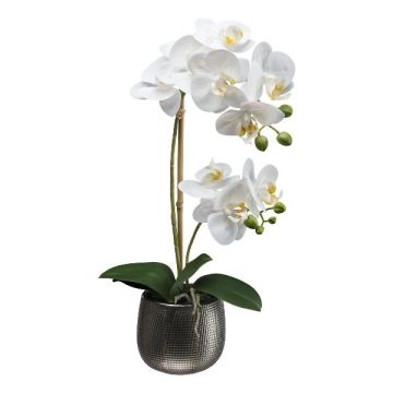 Orchidea Phalaenopsis MERMAY in tessuto, vaso in ceramica, radici, bianco, 50 cm