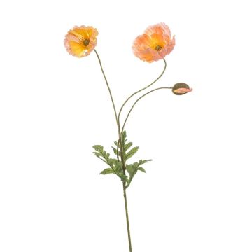 Ramo decorativo papavero SCHUNRA, pesca, 75 cm