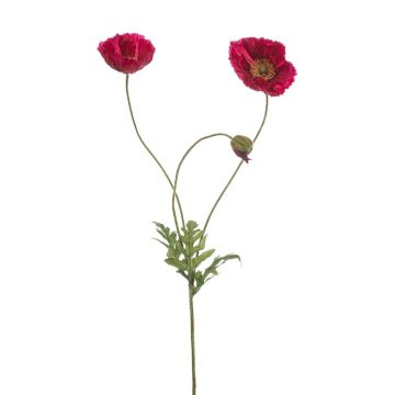 Ramo decorativo di papavero SCHUNRA, fucsia, 75 cm