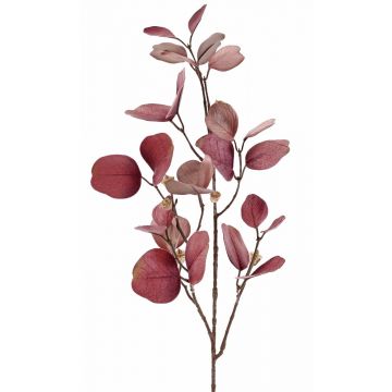 Ramo di eucalipto finto INDALA con frutti, rosa antico, 85cm