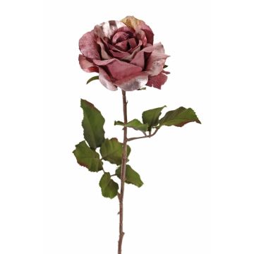 Rosa di velluto SINDALA, rosa antico, 60cm, Ø12cm