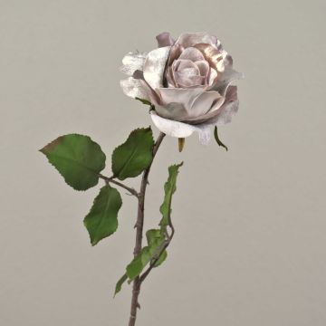 Rosa di velluto SINDALA, beige-rosa, 60cm, Ø12cm