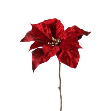 Poinsettia di velluto SHEBA, rosso, 55cm, Ø23cm