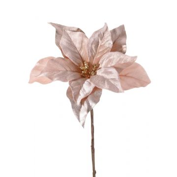 Poinsettia di velluto SHEBA, beige-rosa, 55cm, Ø23cm
