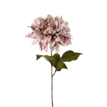 Dahlia di velluto MINBU, beige-rosa, 60cm, Ø18cm