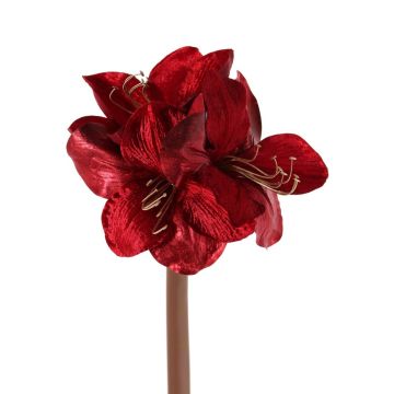 Amaryllis di velluto KIRSTY, rosso, 70cm, Ø9cm