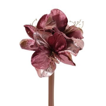 Amaryllis di velluto KIRSTY, rosa antico, 70cm, Ø9cm