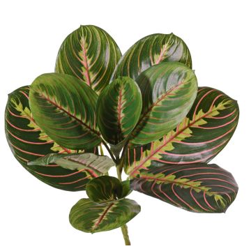 Maranta finta DELIAN su stelo, verde, 30cm